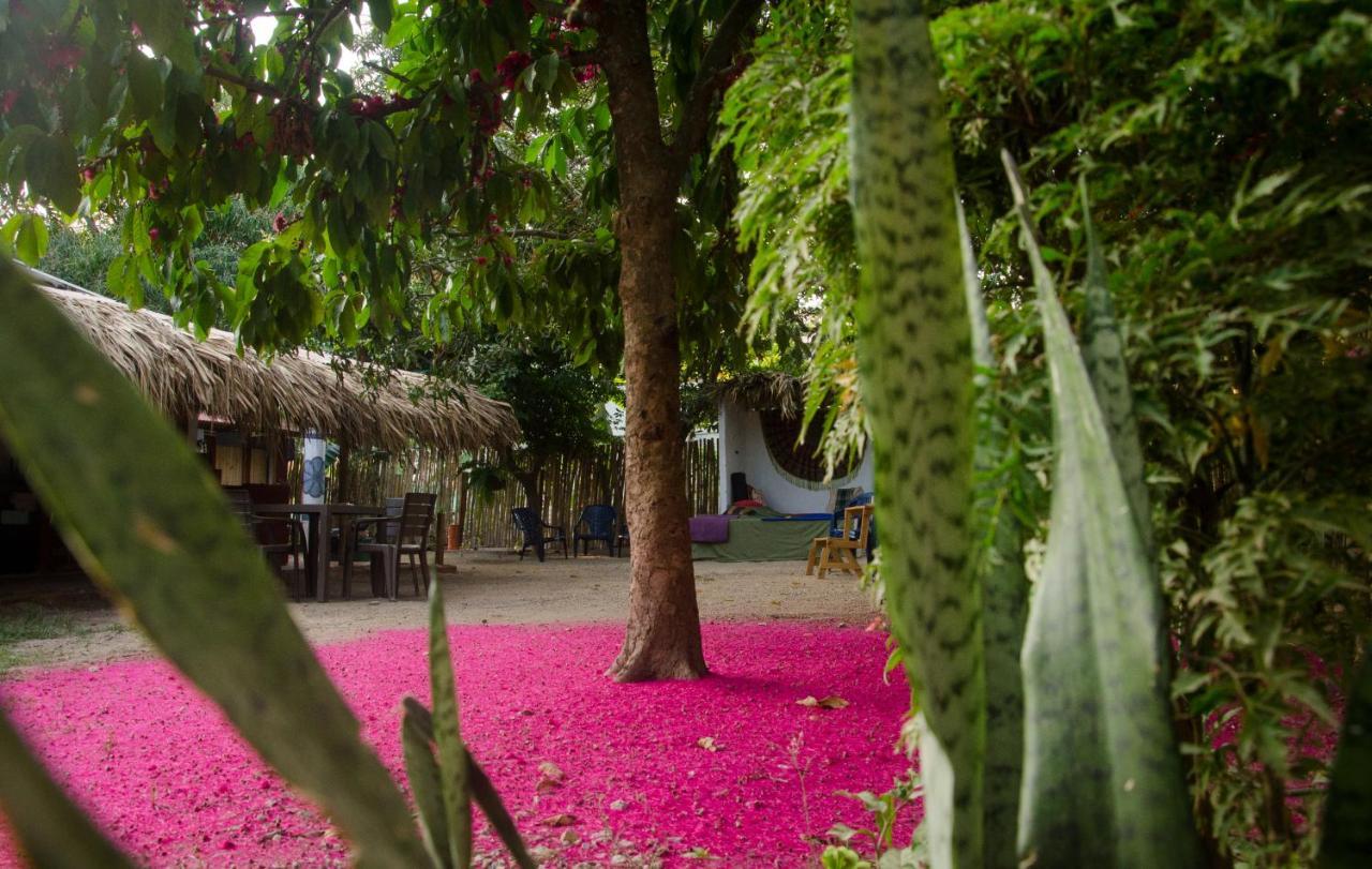 Hostal Corazon De Tagua Palomino Εξωτερικό φωτογραφία