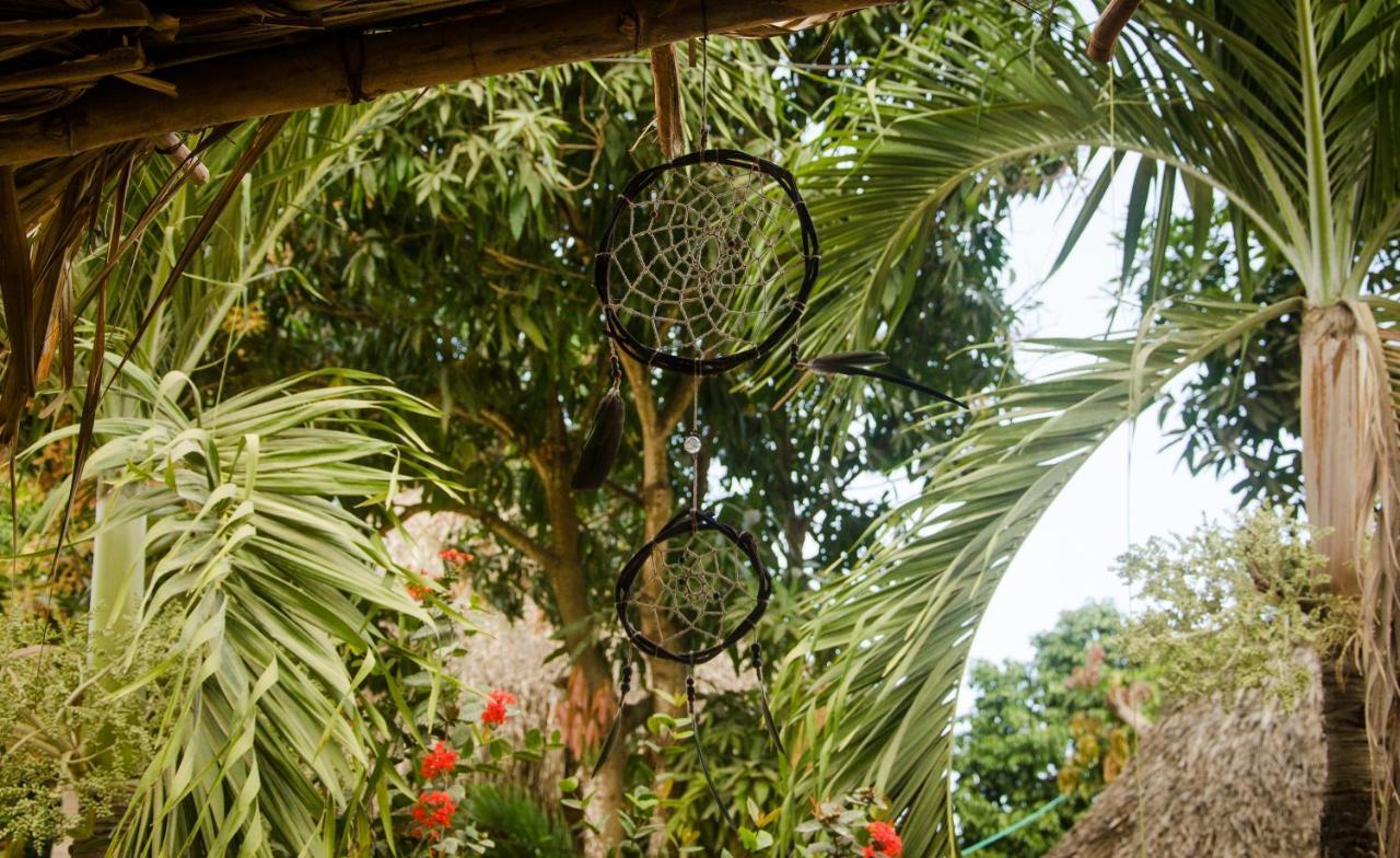 Hostal Corazon De Tagua Palomino Εξωτερικό φωτογραφία