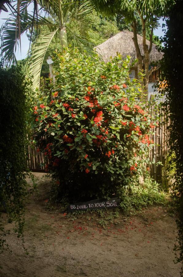 Hostal Corazon De Tagua Palomino Εξωτερικό φωτογραφία